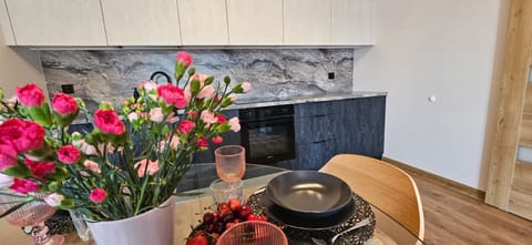 Kitchen or kitchenette, Dining area, stove