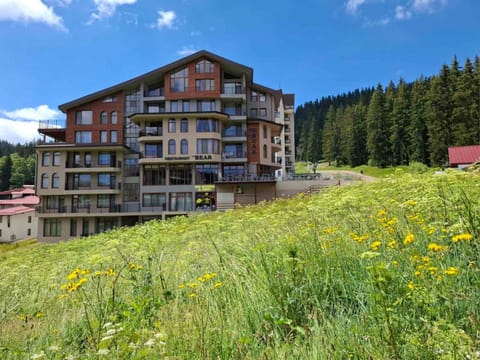 Property building, Day, Natural landscape