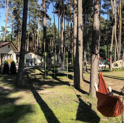 Natural landscape, Garden, Garden view
