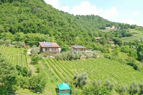 Natural landscape