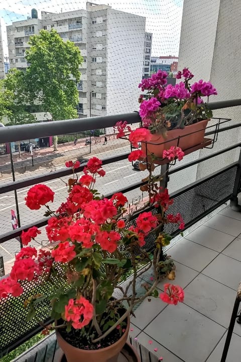 View (from property/room), Balcony/Terrace