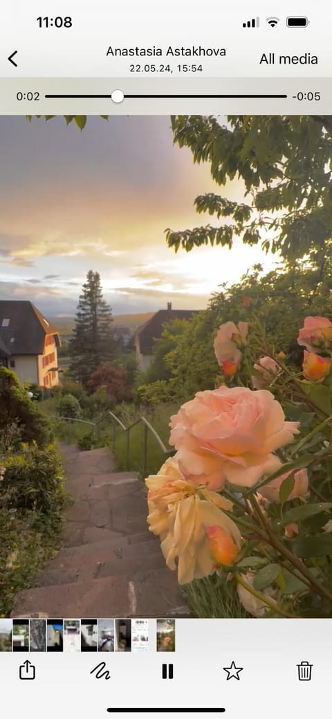 Spring, Natural landscape, Garden, Garden view, Sunset