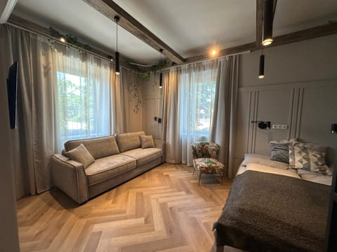 Bed, Living room, Photo of the whole room, Seating area, Bedroom