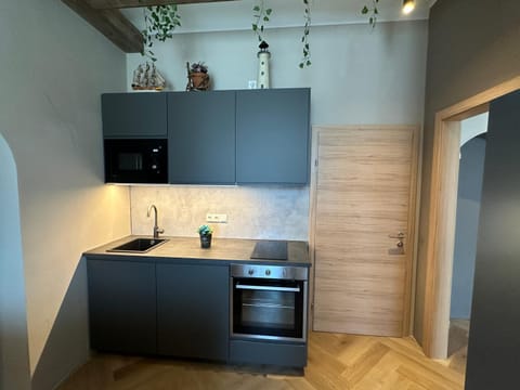 Kitchen or kitchenette, oven, stove