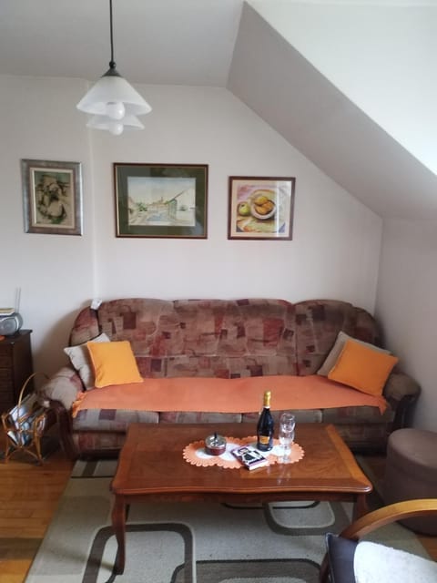 Parovic Apartment in Federation of Bosnia and Herzegovina