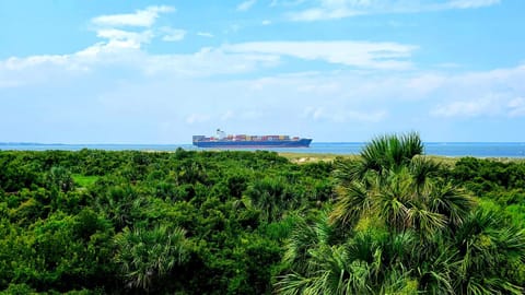 Lighthouse Point 19B by Tybee Beach Vacation Rentals House in Tybee Island