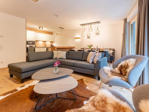 Appartement Schmittenblick Top 1 House in Salzburgerland