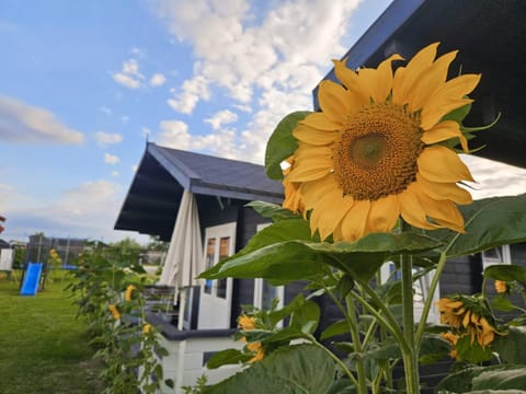 Domki Letniskowe OazaSpokoju Gąski House in West Pomeranian Voivodeship, Poland