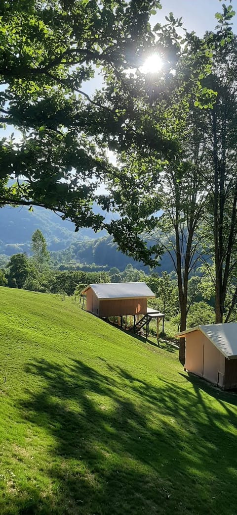 Mountain view