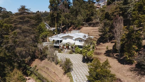 Day, Bird's eye view, Garden, Garden view