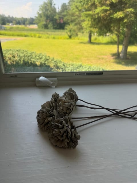 The River Condos Hot Tub Fireplace Family & Pet Friendly River Front 2 to 6 bedroom condos dock Campground/
RV Resort in Minnesota