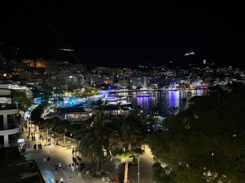 Night, Natural landscape, Bird's eye view, City view, Sea view, Location