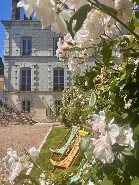 Spring, Summer, Garden, Garden view, Inner courtyard view, sunbed