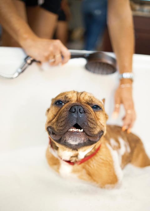 Naturally Pacific Resort Hotel in Campbell River