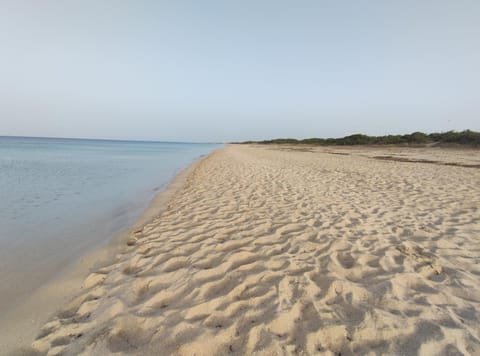 Beach, Sea view