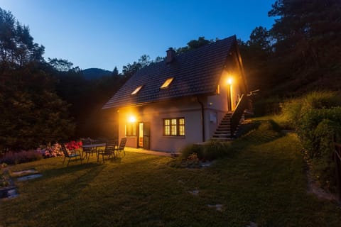 Property building, Night, Garden, Garden view