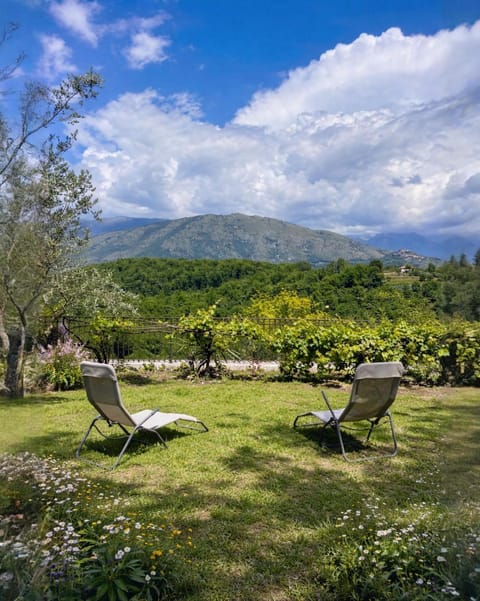 Day, Garden, Garden view