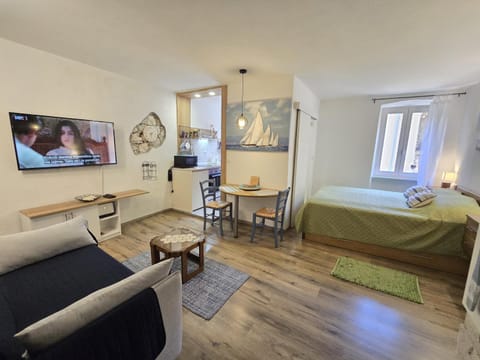 Bed, TV and multimedia, Living room, Photo of the whole room, Seating area, Dining area, Bedroom, kitchen