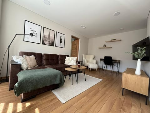 Living room, Photo of the whole room, Seating area