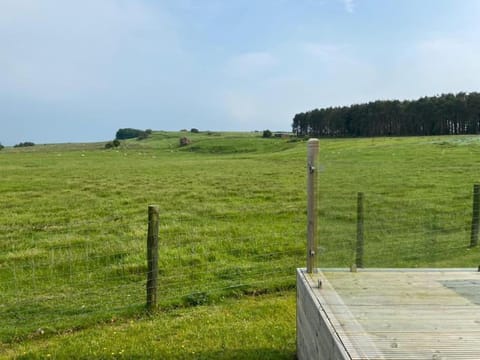 Natural landscape
