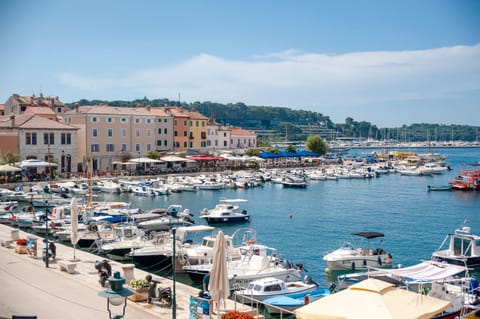 Apartments Volta See view Apartment in Rovinj