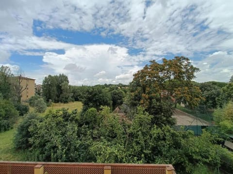 Natural landscape, Garden view