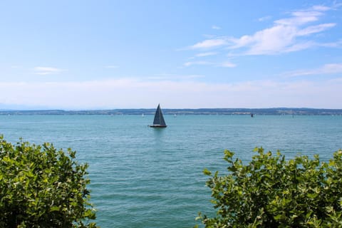 Lake view