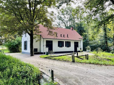 Property building, Summer