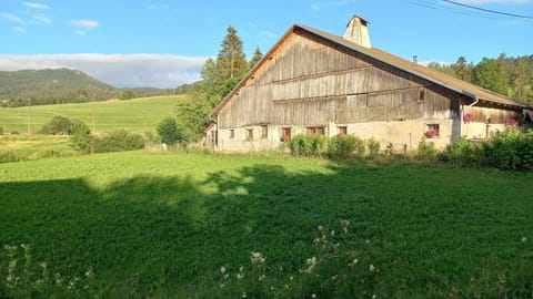 Property building, Spring, Day, Garden, Garden view