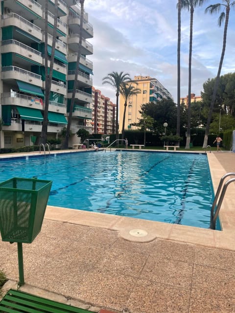 Solarium, Pool view, Swimming pool