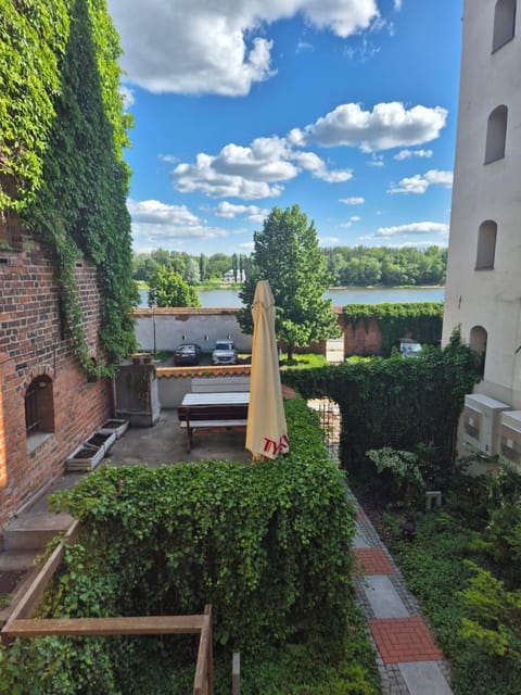 Natural landscape, Garden, Garden view, River view