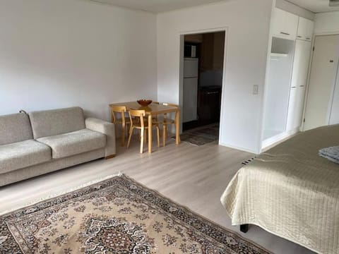 Viihtyisä itsepalvelumajoitus, tilava saunallinen yksiö Apartment in Finland