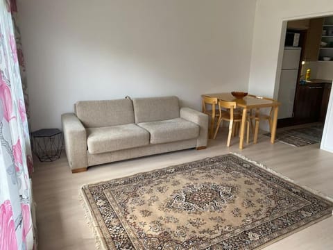 Viihtyisä itsepalvelumajoitus, tilava saunallinen yksiö Apartment in Finland