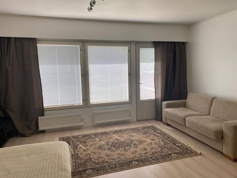 Viihtyisä itsepalvelumajoitus, tilava saunallinen yksiö Apartment in Finland