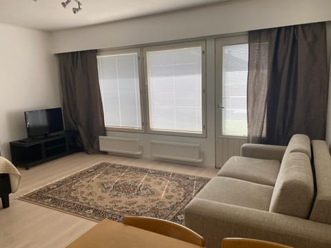 Viihtyisä itsepalvelumajoitus, tilava saunallinen yksiö Apartment in Finland