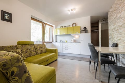 Kitchen or kitchenette, Living room, Seating area, Dining area, pet friendly