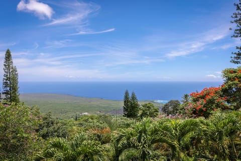 Hale Mauka House in Captain Cook