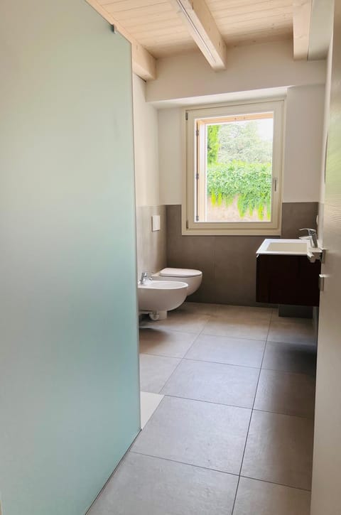 Toilet, Bathroom, bidet