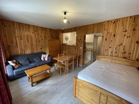 Studio rénové au Lioran avec animaux acceptés - FR-1-787-22 Apartment in Auvergne-Rhône-Alpes