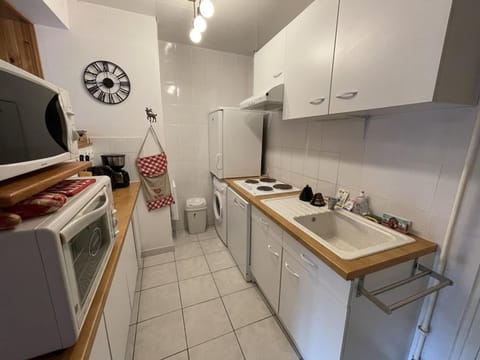 Studio rénové au Lioran avec animaux acceptés - FR-1-787-22 Apartment in Auvergne-Rhône-Alpes