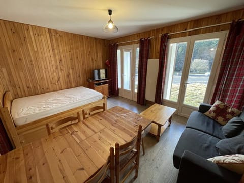 Studio rénové au Lioran avec animaux acceptés - FR-1-787-22 Apartment in Auvergne-Rhône-Alpes