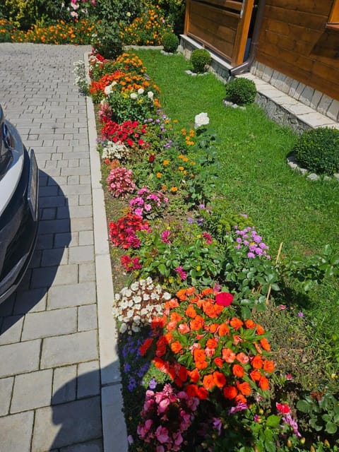 Guesthouse Sandra Bed and Breakfast in Montenegro