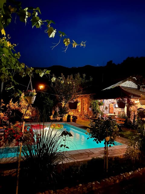 Property building, Night, Natural landscape, Garden, Garden view, Pool view, Swimming pool, sunbed