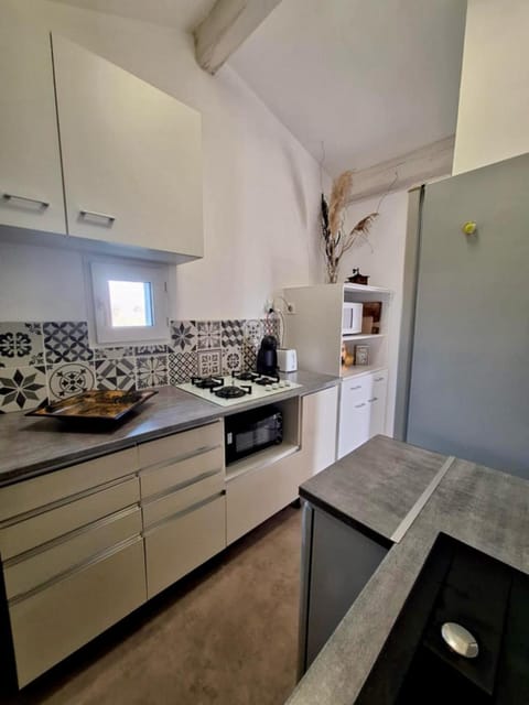 De l'eau et des oiseaux ! House in Saintes-Maries-de-la-Mer