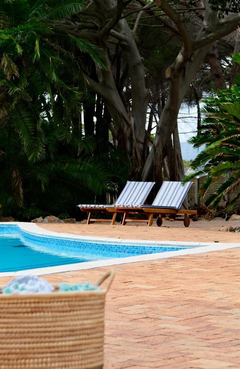 Day, Pool view, Swimming pool, sunbed