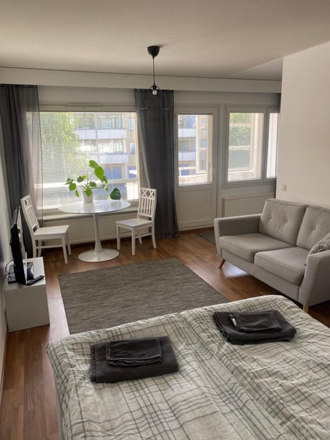 Niinivaaran tilava ja valoisa yksiö 2 Apartment in Finland
