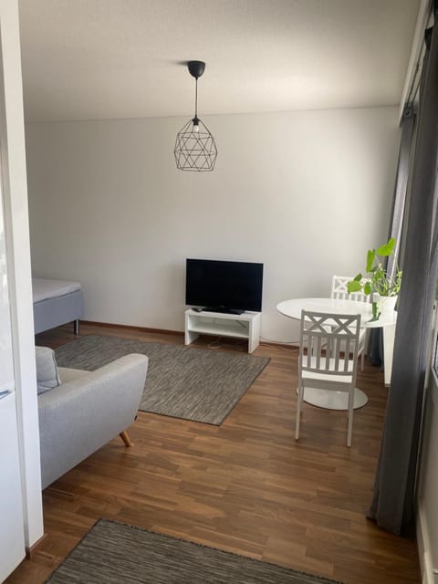 Niinivaaran tilava ja valoisa yksiö 2 Apartment in Finland