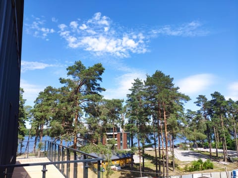 Natural landscape, Lake view