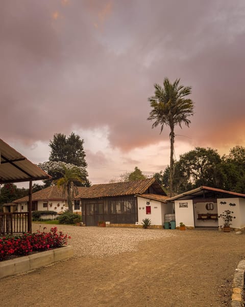 Garden view, Sunset