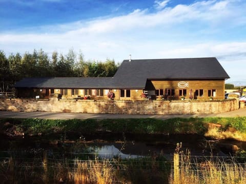 Weston glamping pod Nature lodge in Oswestry